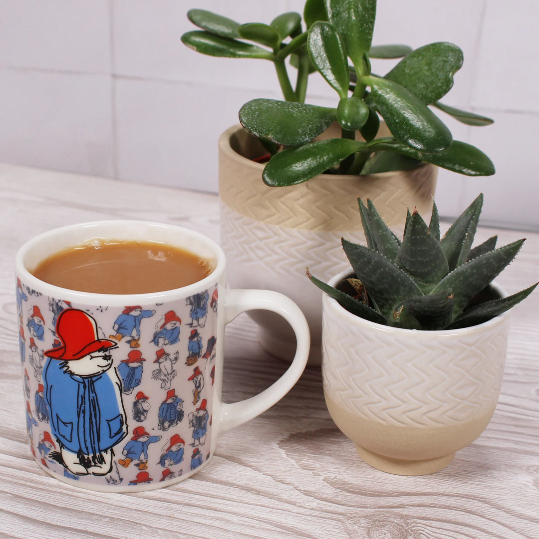 Paddington Bear Heat-Changing Mug – 310ml Stoneware Cup