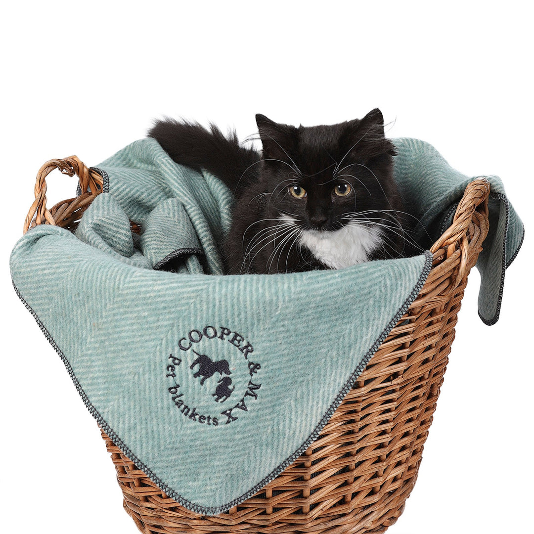 Recycled Wool Herringbone Pet Blanket – 150cm x 90cm - PISTACHIO