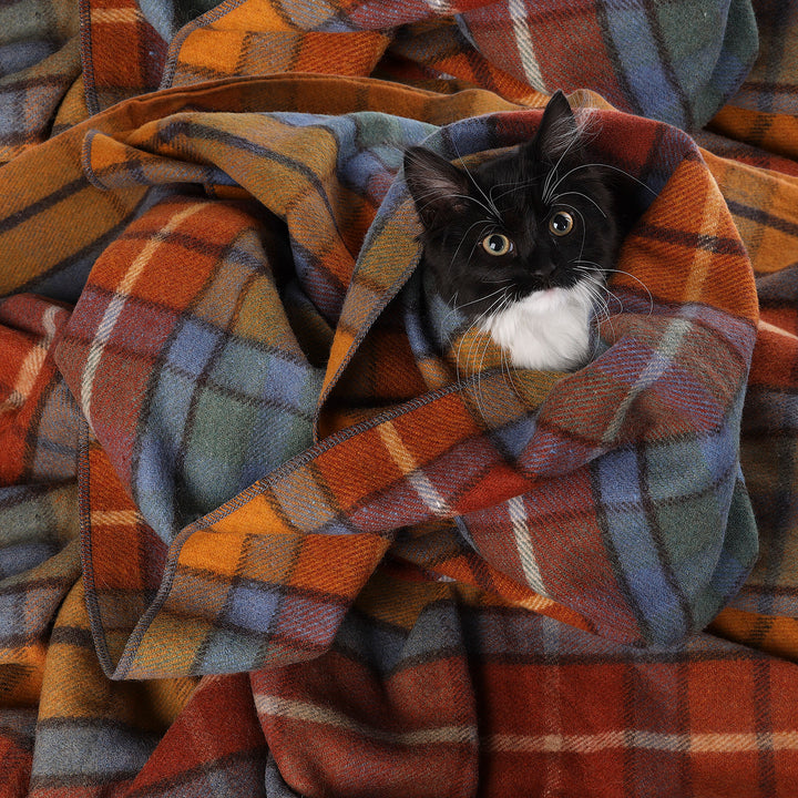 Tartan Pet Blanket Buchanan Antique