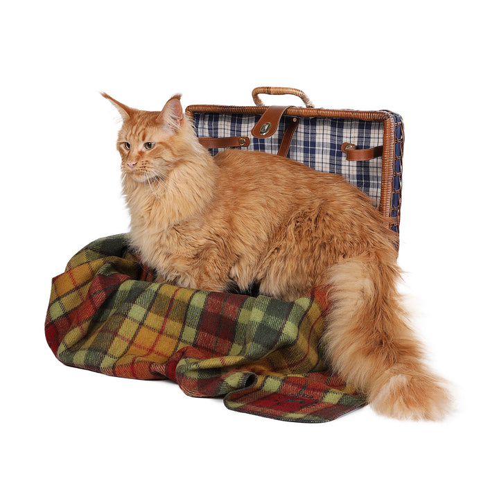 Tartan Pet Blanket Buchanan Autumn